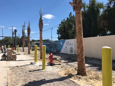Palm trees planted in Annex Property 