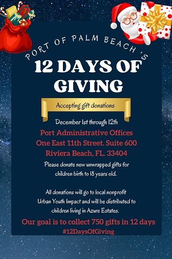 12 Days of Giving Flyer